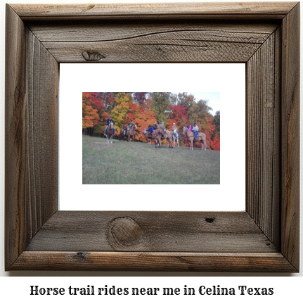 horse trail rides near me in Celina, Texas